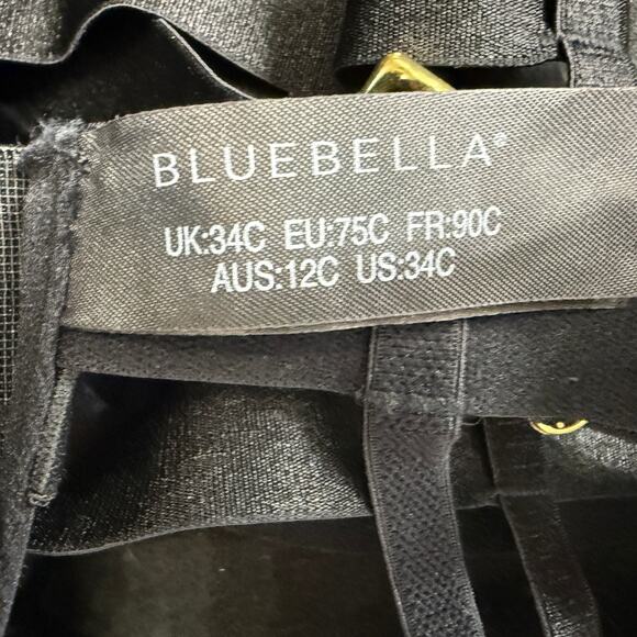 BlueBella Silchester Basque Cage Harness Corset Bustier Size 34C Stretchy - Picture 6 of 11